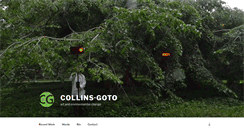 Desktop Screenshot of collinsandgoto.com